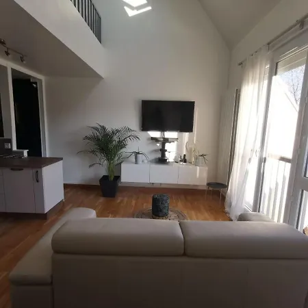 Charmant Duplex Lumineux 公寓